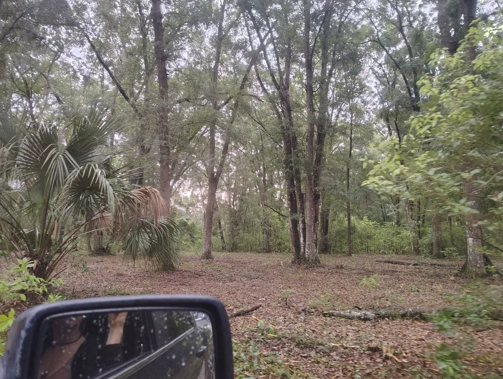 Trusted landscaping services for homes in Orlando, FL by Trey's Tree Tractor And Stump Grinding