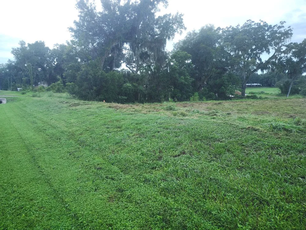Expert landscaping services experts serving Orlando, FL - Trey's Tree Tractor And Stump Grinding