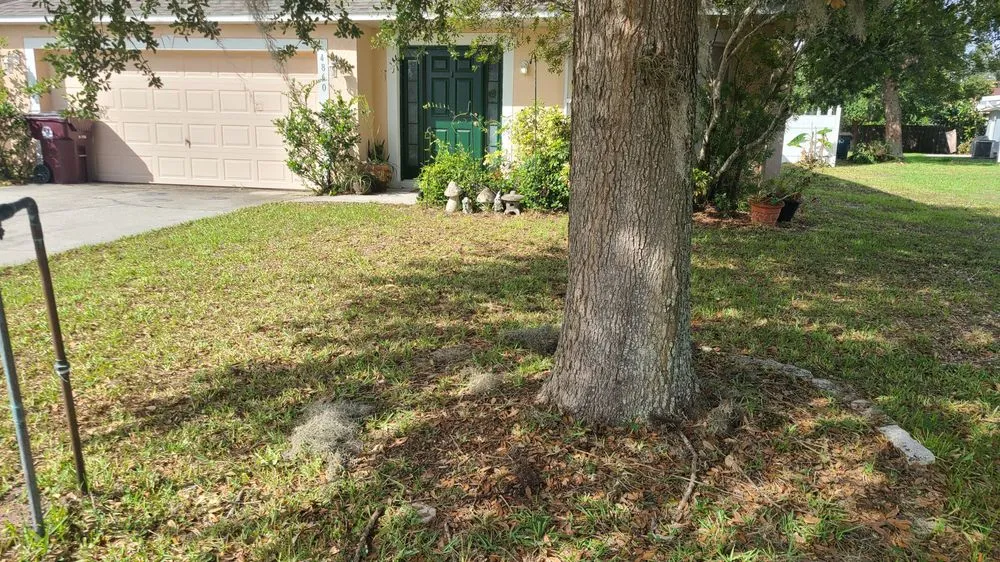 Reliable landscape installation for year-round maintenance in St. Cloud, FL by TRF Lawn Care