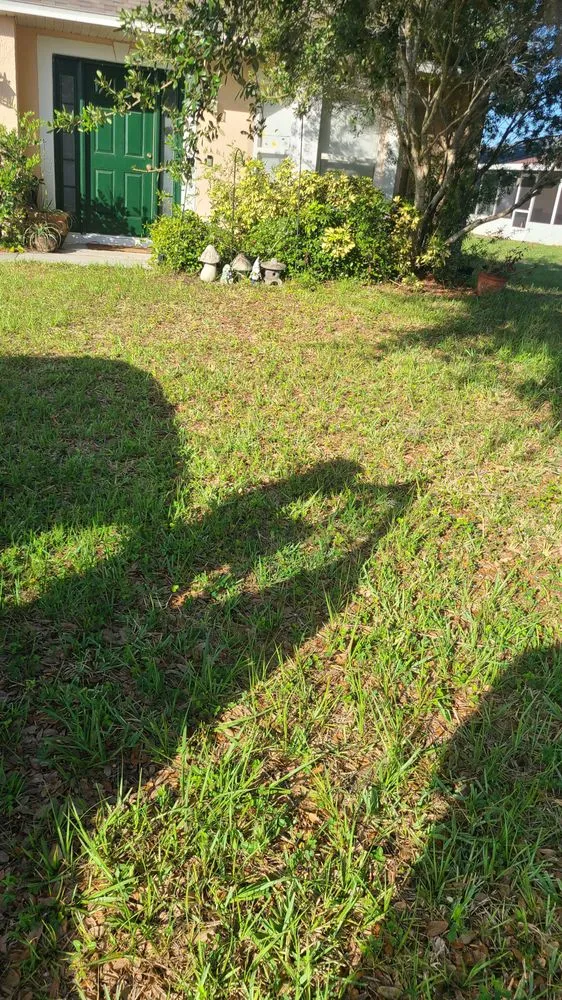 Affordable residential landscaping for beautiful yards across St. Cloud, FL - TRF Lawn Care