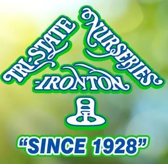 Expert yard cleanup service in Hanging Rock, OH by Tri -State Nurseries & Landscaping