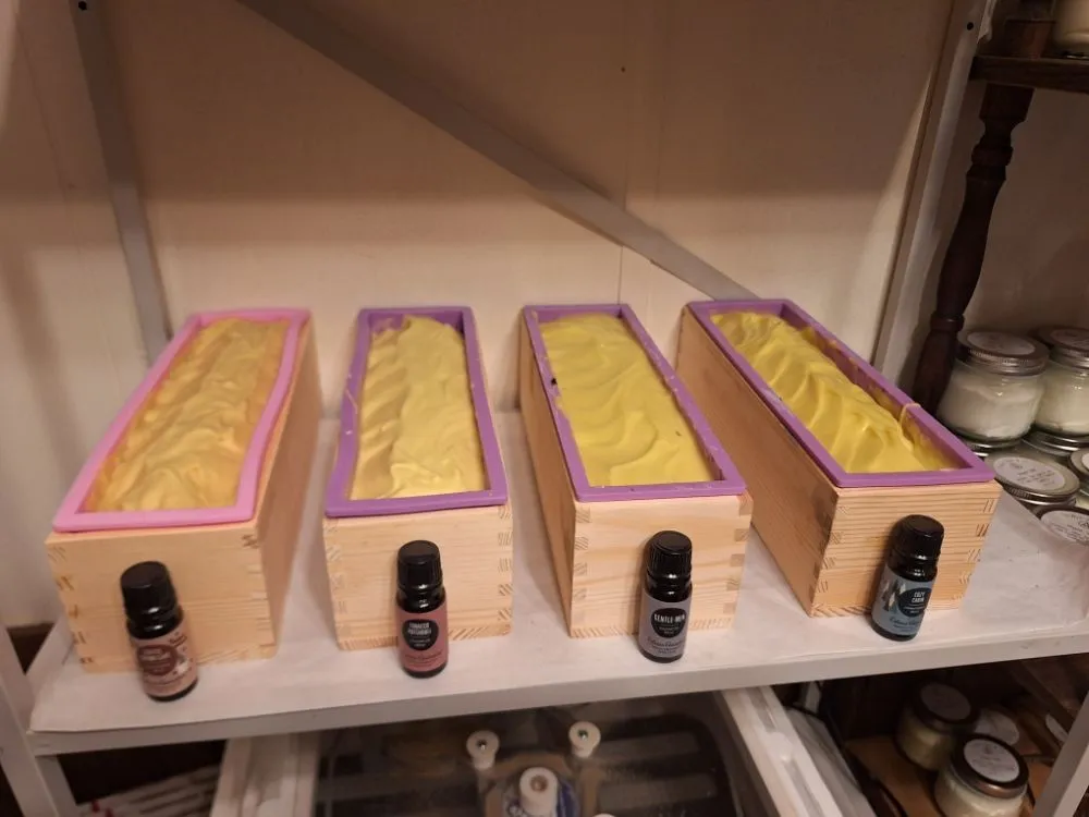 Top-rated lawn care service in Salisbury, NC by Tri-Acre Farm & Co