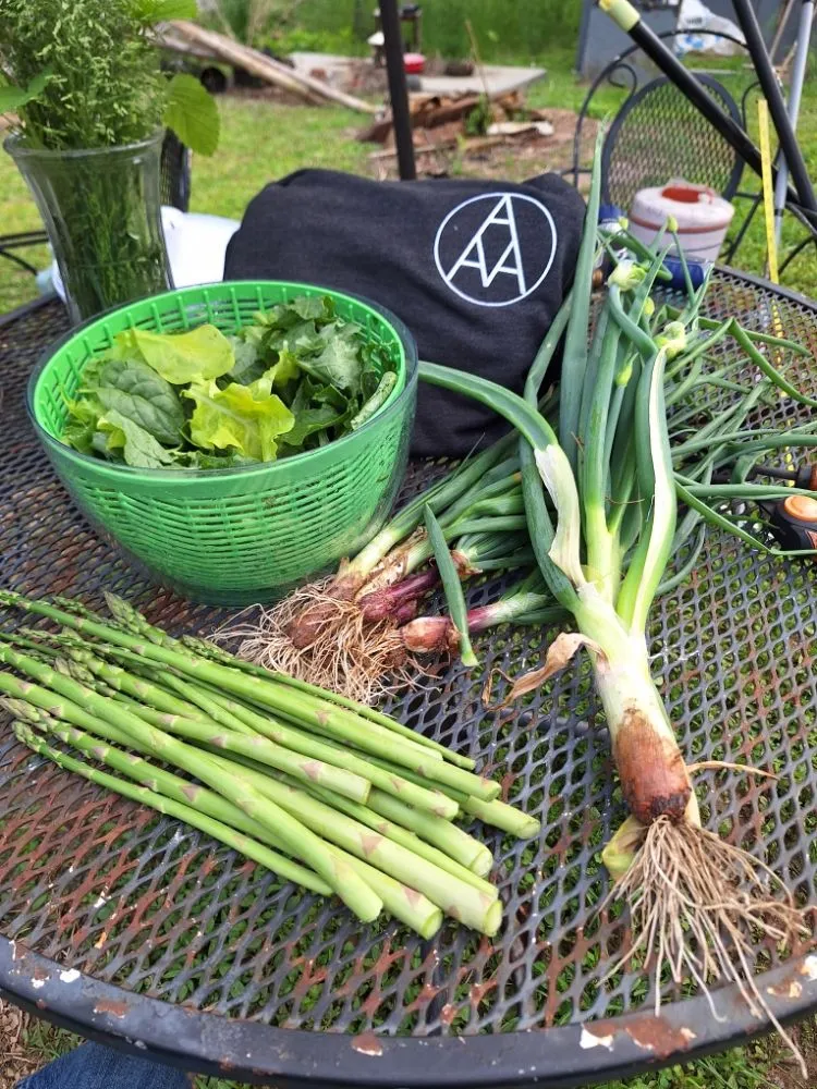 Top-rated outdoor landscaping in Salisbury, NC - Tri-Acre Farm & Co