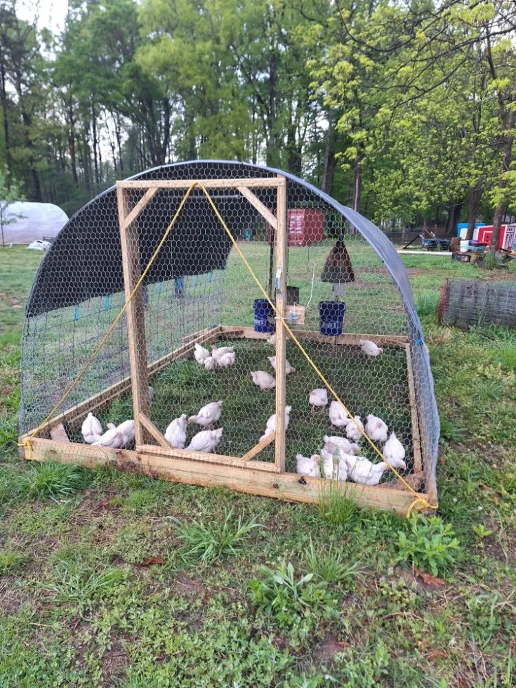 Custom residential landscaping near you in Salisbury, NC by Tri-Acre Farm & Co