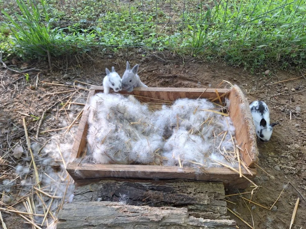 Professional lawn care service in Salisbury, NC - Tri-Acre Farm & Co