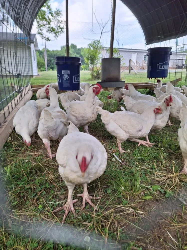 Trusted residential landscaping in Salisbury, NC by Tri-Acre Farm & Co