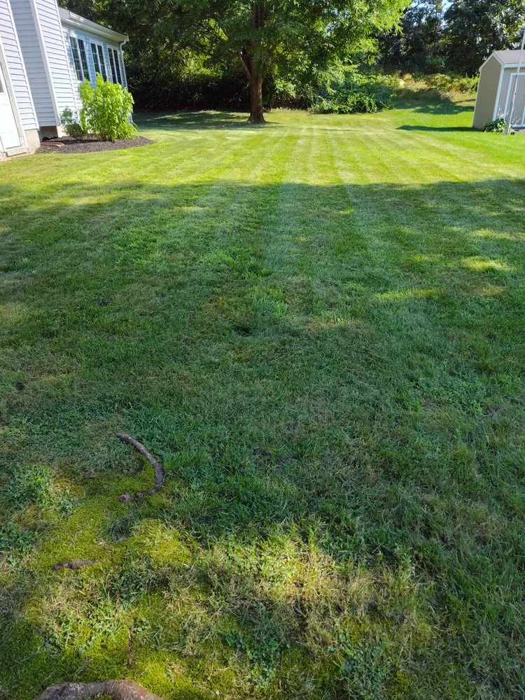 Custom yard cleanup service for homes in North Attleborough, MA by Tri Borough Landscaping