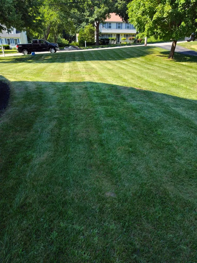 Trusted landscaping services for year-round maintenance in North Attleborough, MA by Tri Borough Landscaping