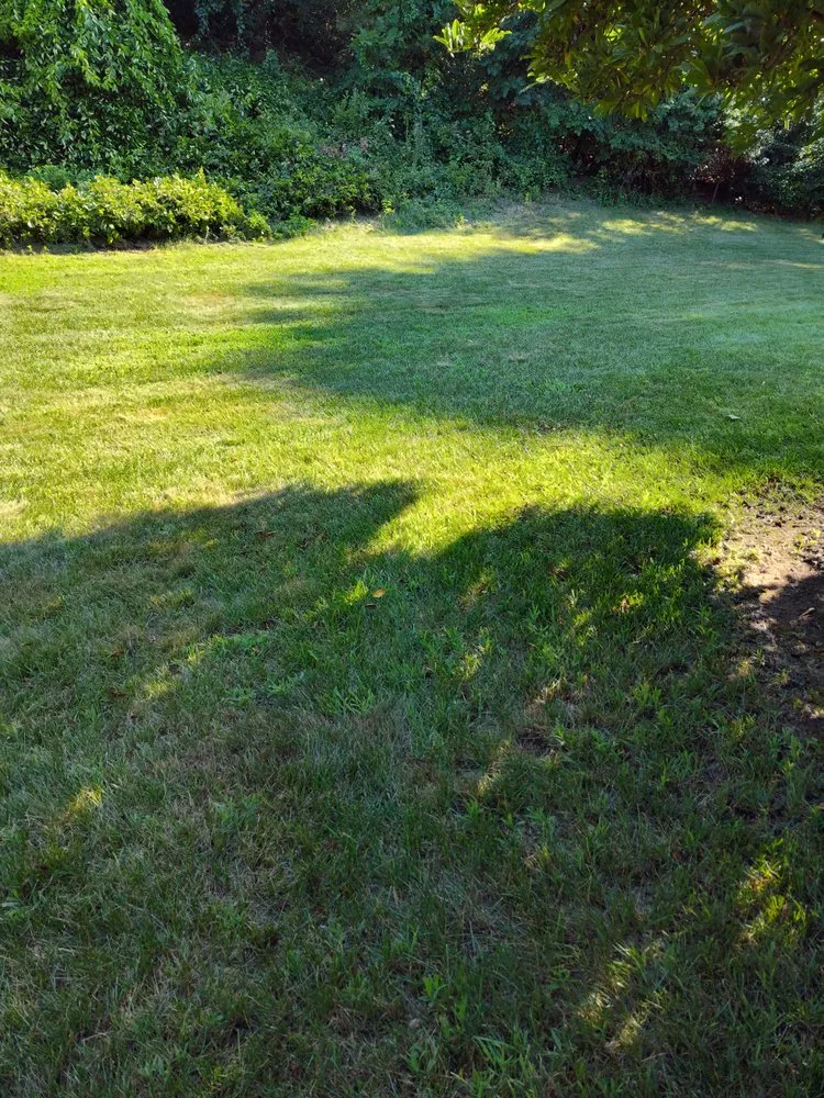 Expert residential landscaping for beautiful yards across North Attleborough, MA - Tri Borough Landscaping