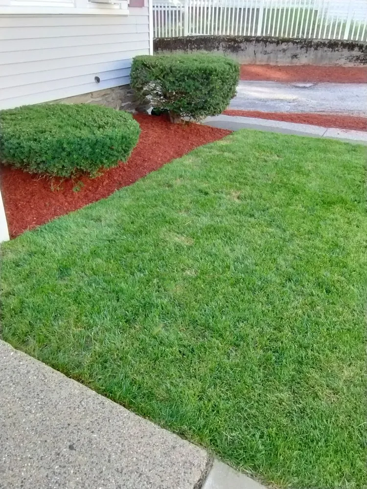 Reliable yard cleanup service in North Attleborough, MA by Tri Borough Landscaping