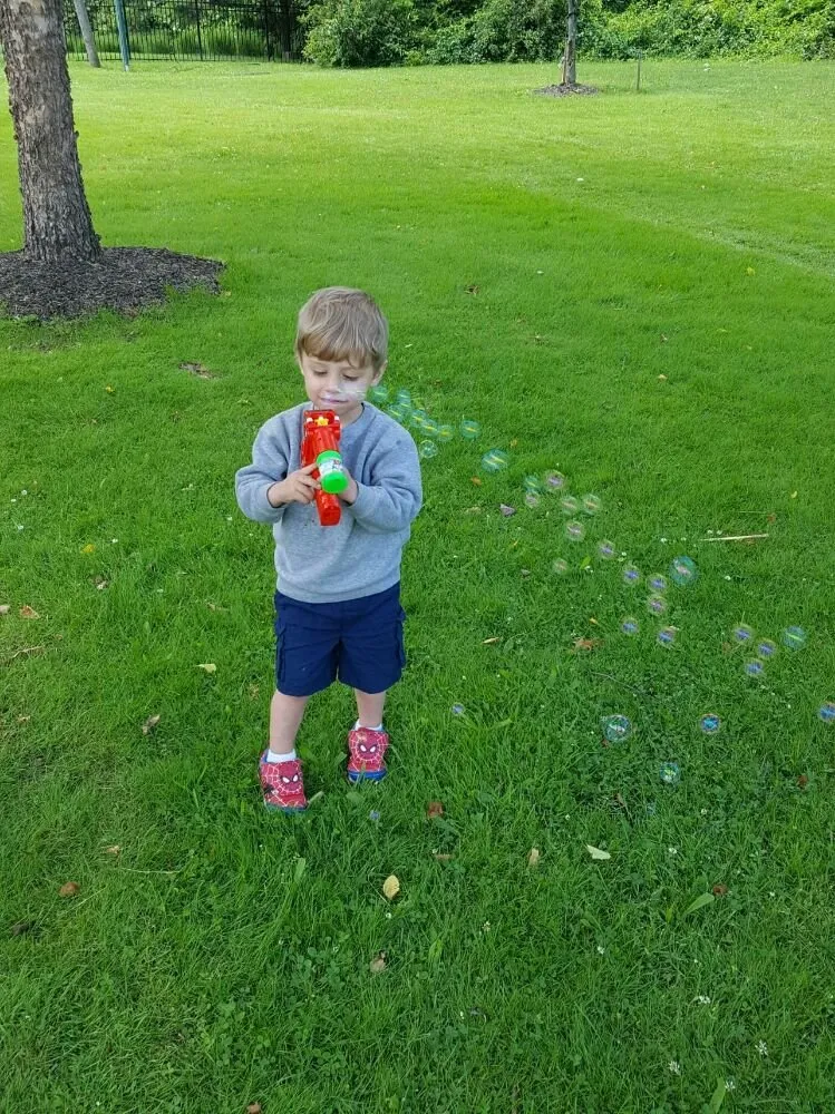 Top-rated yard cleanup service for beautiful yards in Newton, NJ by Tri Chem Pest Control