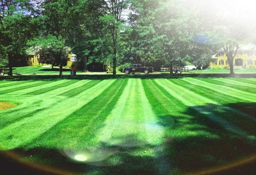 Local yard cleanup service for homes in Newton, NJ by Tri Chem Pest Control