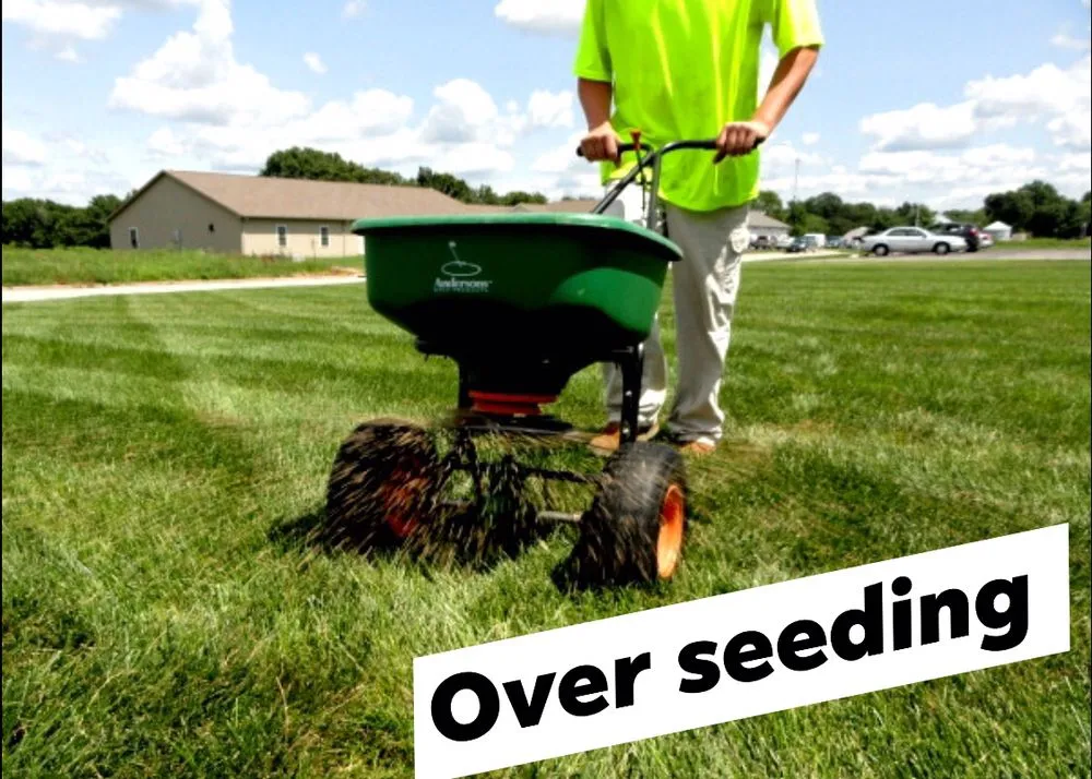 Reliable garden landscaping near you in Elizabethton, TN by Tri-cities Maintenance