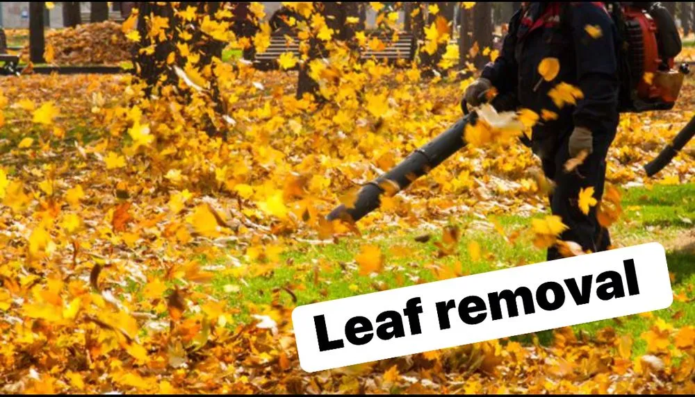 Affordable garden landscaping experts serving Elizabethton, TN - Tri-cities Maintenance