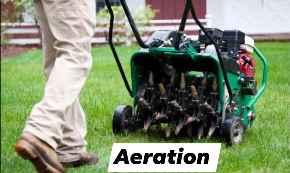 Professional lawn care service for residential properties across Elizabethton, TN - Tri-cities Maintenance