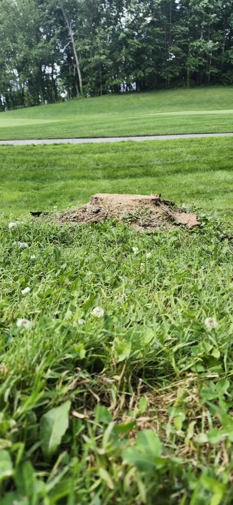 Professional residential landscaping in Bristol, VA by Tri-Cities Property Solutions