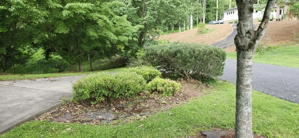 Expert landscape design in Bristol, VA - Tri-Cities Property Solutions