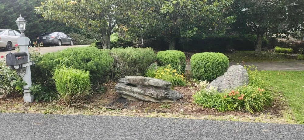 Affordable outdoor landscaping for residential properties across Bristol, VA - Tri-Cities Property Solutions