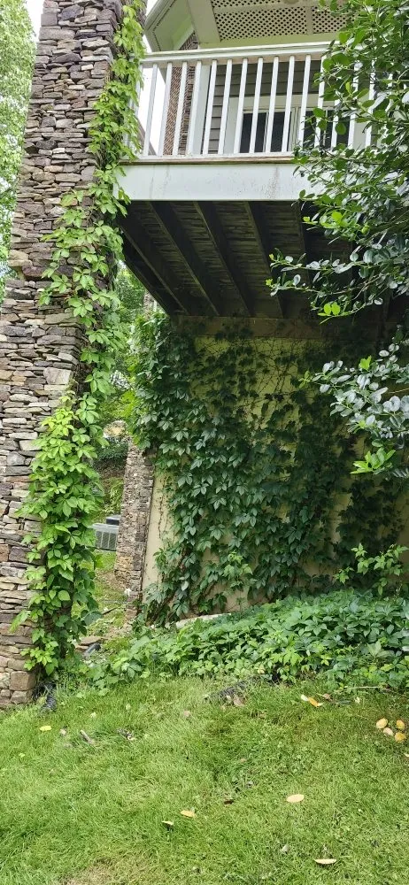 Affordable landscape installation for year-round maintenance in Bristol, VA by Tri-Cities Property Solutions