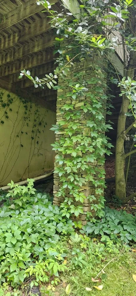 Affordable landscape installation in Bristol, VA - Tri-Cities Property Solutions