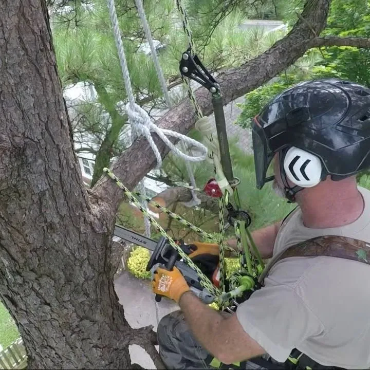 Reliable garden landscaping experts serving Kingsport, TN - Tri-Cities Tree Service