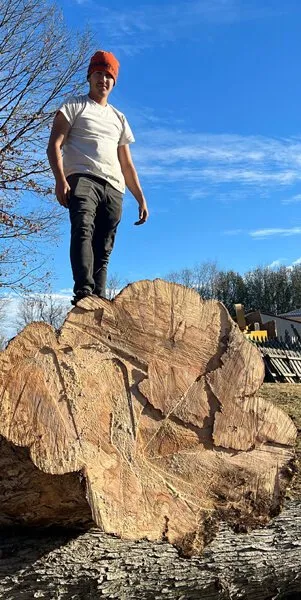 Affordable yard maintenance for year-round maintenance in Telford, TN by Tri Cities Tree Service