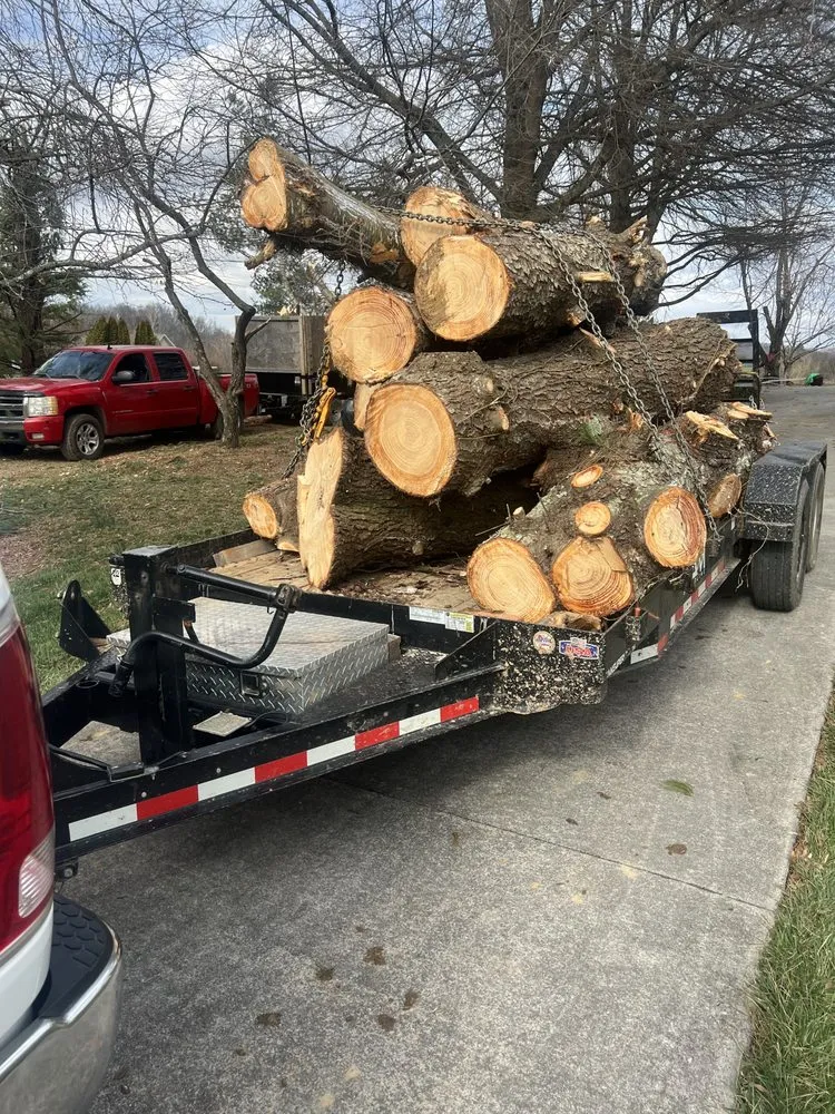 Expert landscape installation for beautiful yards across Telford, TN - Tri Cities Tree Service