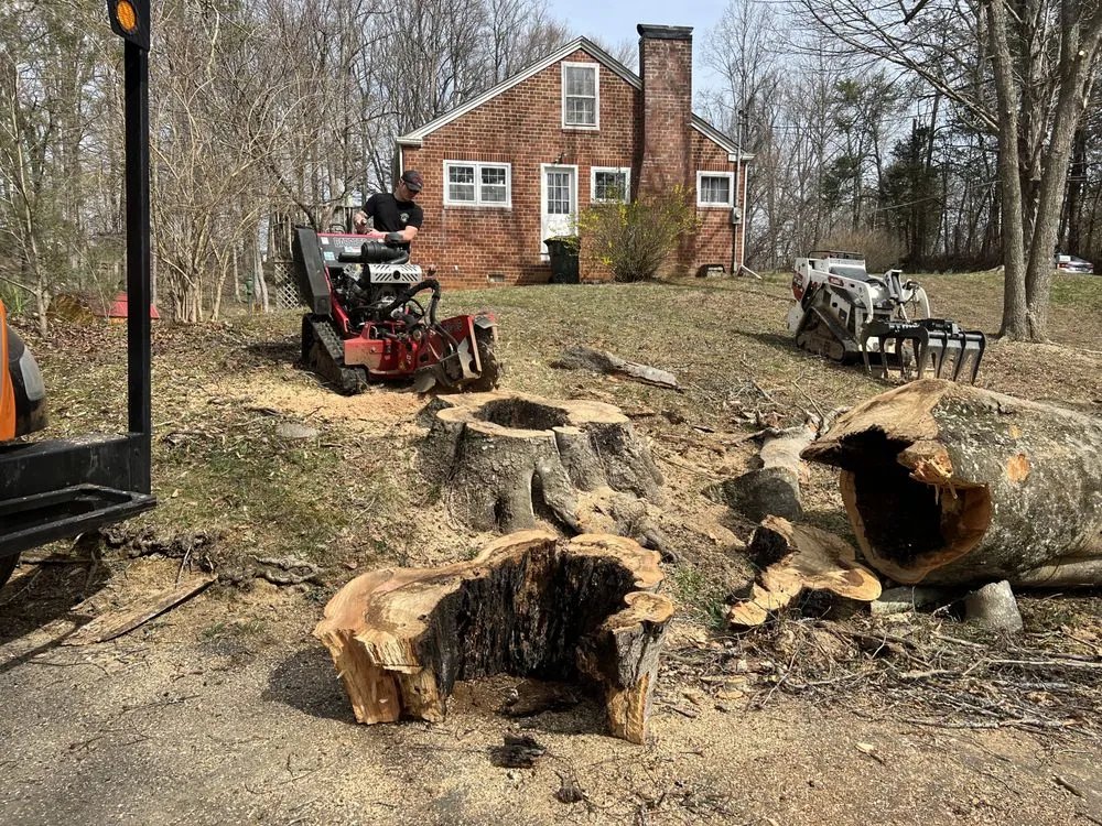 Trusted outdoor landscaping in Telford, TN by Tri Cities Tree Service