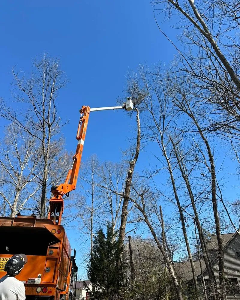 Local landscaping services for outdoor upgrades in Telford, TN by Tri Cities Tree Service