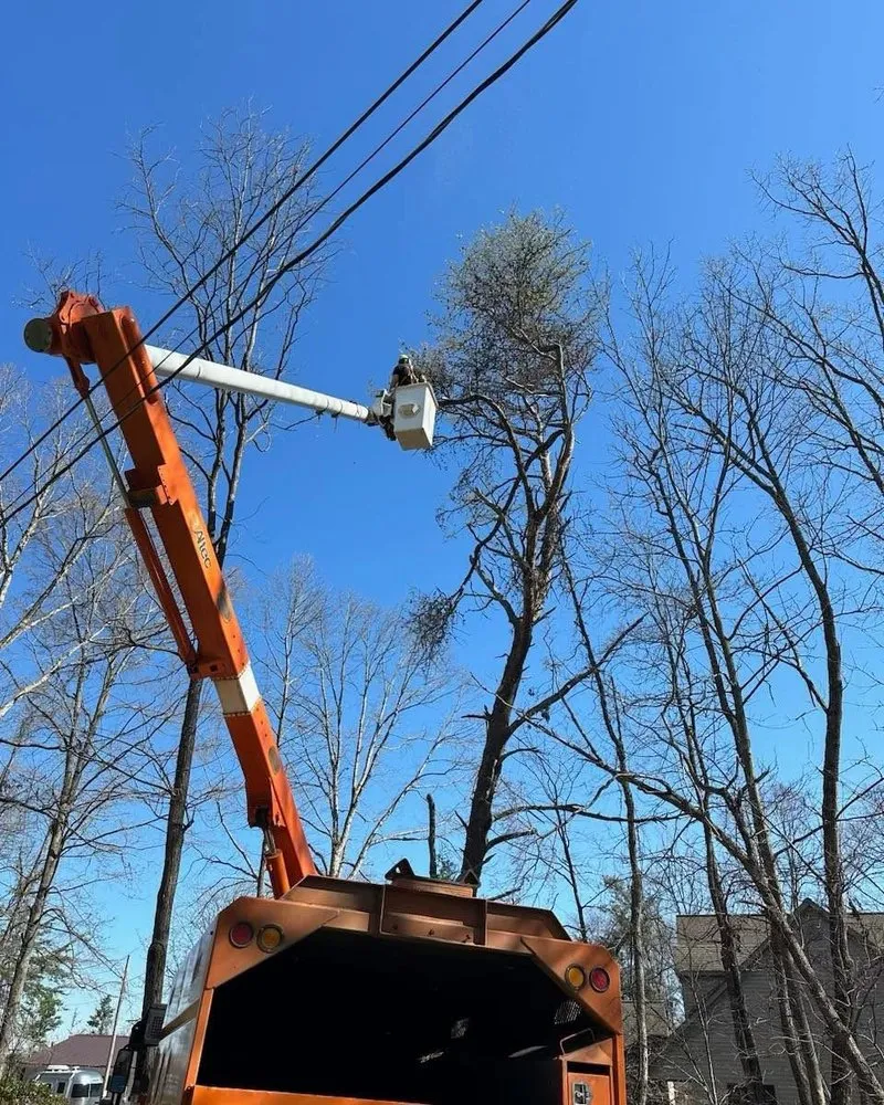 Professional lawn mowing service in Telford, TN by Tri Cities Tree Service