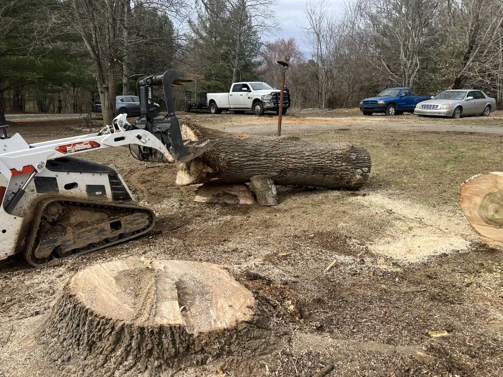 Affordable landscape design for year-round maintenance in Telford, TN by Tri Cities Tree Service