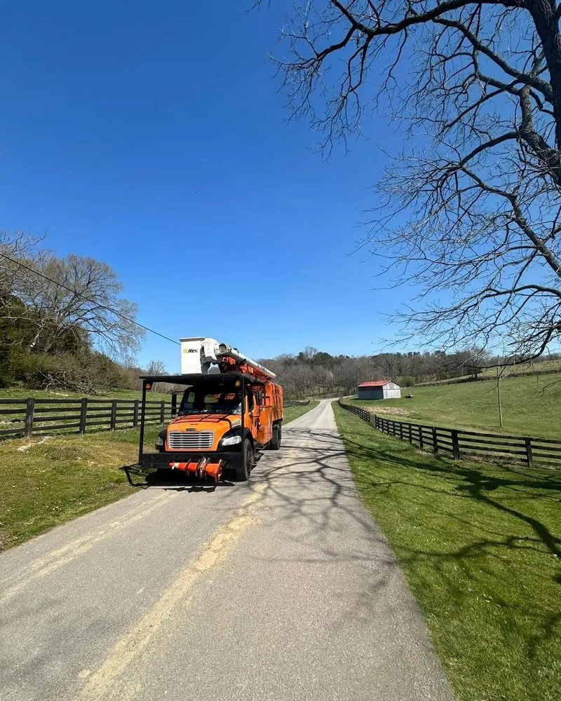 Trusted yard cleanup service in Telford, TN - Tri Cities Tree Service