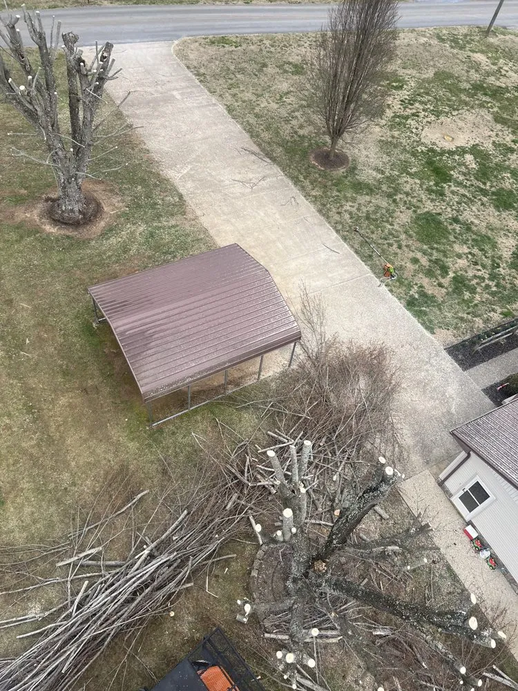 Reliable landscaping services in Telford, TN by Tri Cities Tree Service