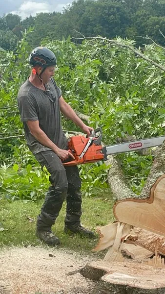 Top-rated outdoor landscaping in Telford, TN - Tri Cities Tree Service