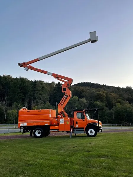 Professional yard maintenance experts serving Telford, TN - Tri Cities Tree Service