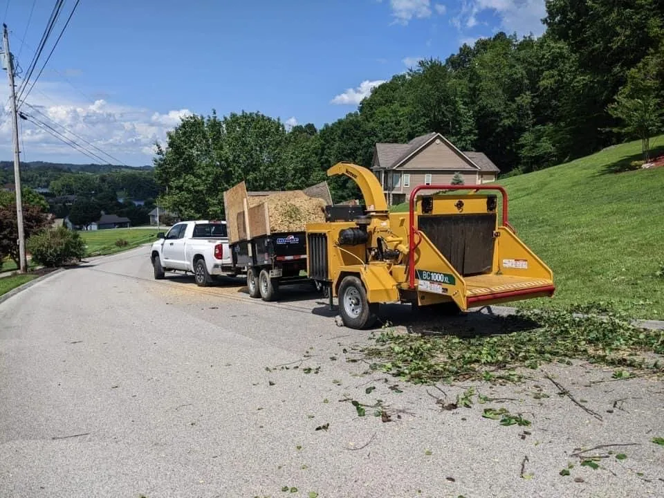 Affordable lawn mowing service experts serving Telford, TN - Tri Cities Tree Service