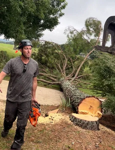 Reliable landscaping services for outdoor upgrades across Telford, TN - Tri Cities Tree Service