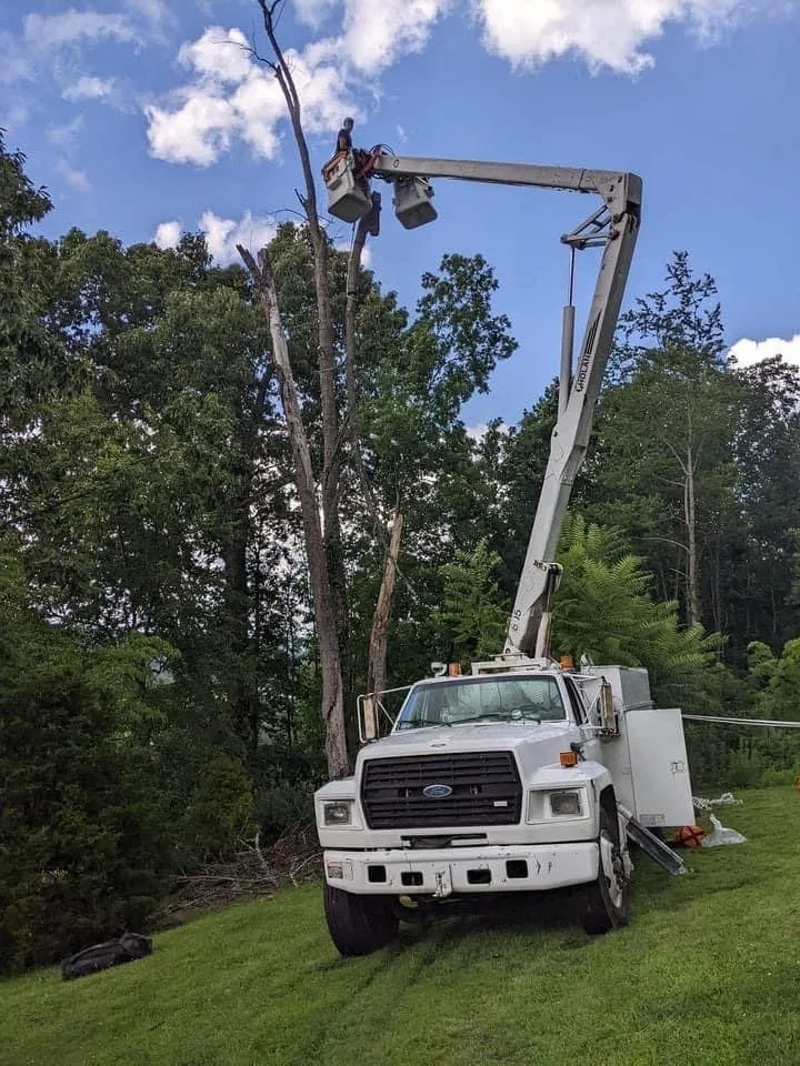 Top-rated residential landscaping in Telford, TN - Tri Cities Tree Service