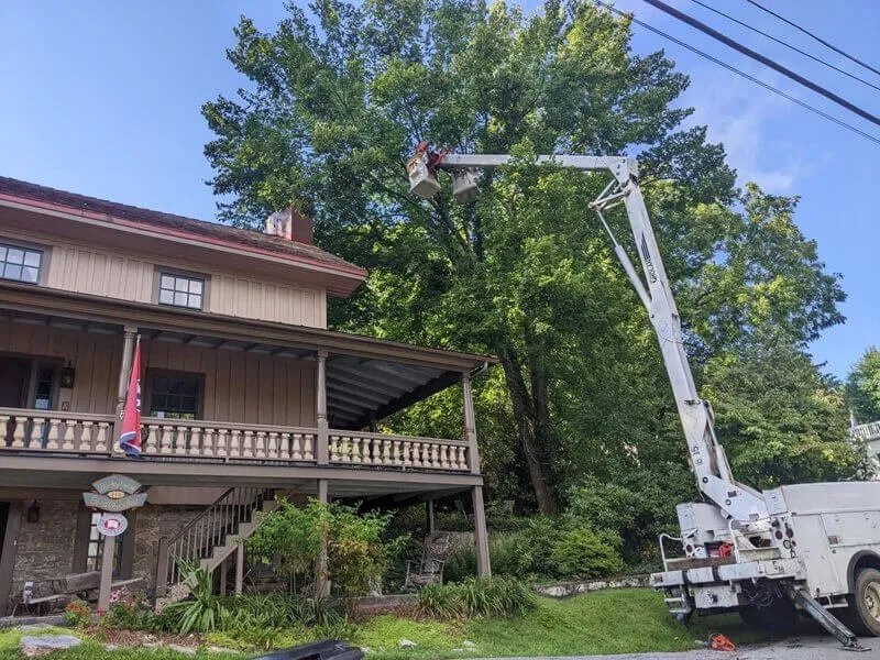 Reliable landscape installation in Telford, TN - Tri Cities Tree Service