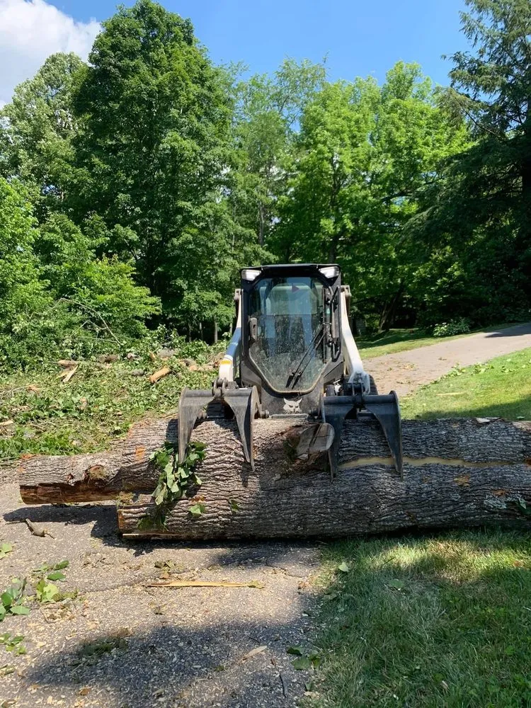 Affordable outdoor landscaping in Telford, TN - Tri Cities Tree Service