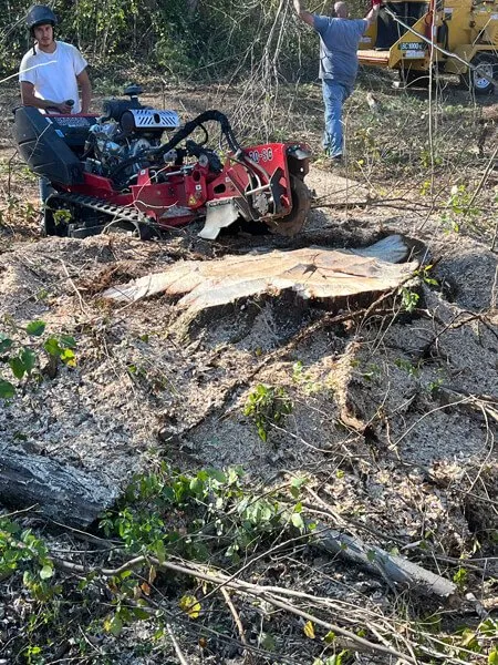 Local lawn care service with custom design in Telford, TN by Tri Cities Tree Service