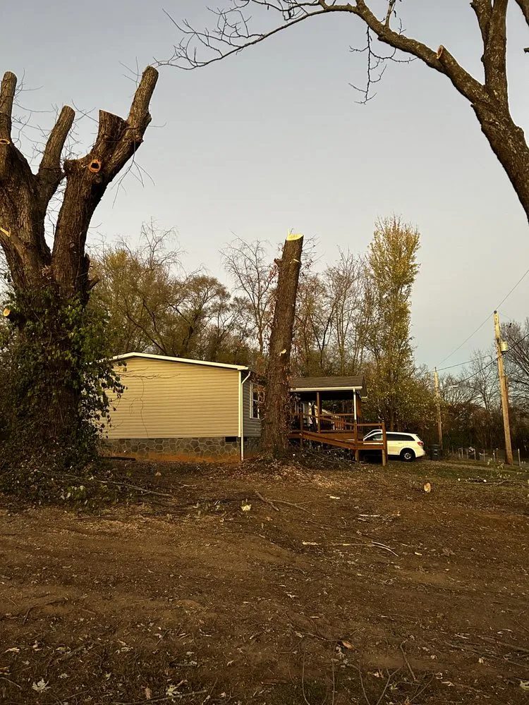 Custom garden landscaping for outdoor upgrades in Mount Carmel, TN by Tri Cities Yard & Deck Solutions