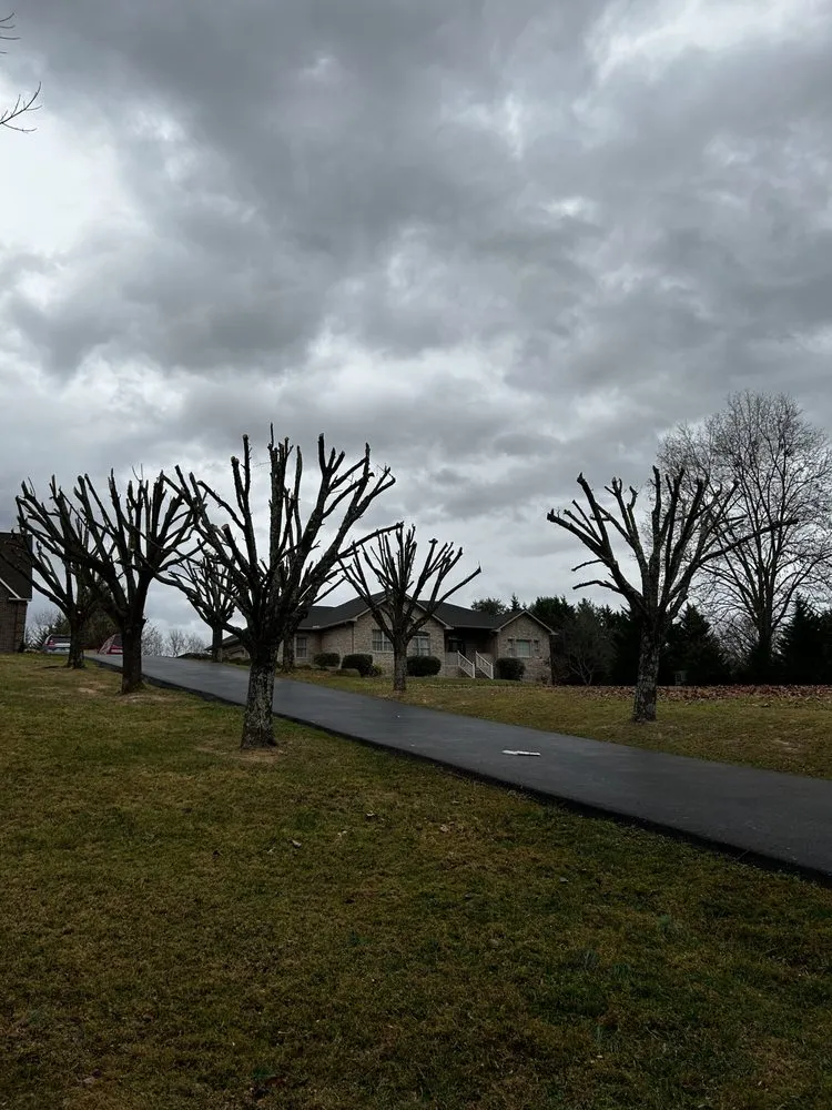 Local landscape installation experts serving Mount Carmel, TN - Tri Cities Yard & Deck Solutions