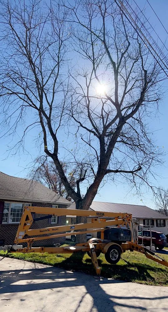 Reliable lawn mowing service in Mount Carmel, TN by Tri Cities Yard & Deck Solutions