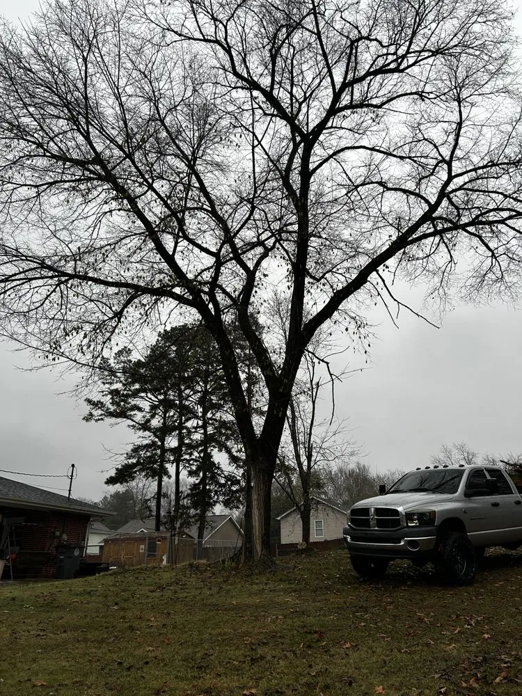 Custom lawn mowing service for year-round maintenance across Mount Carmel, TN - Tri Cities Yard & Deck Solutions