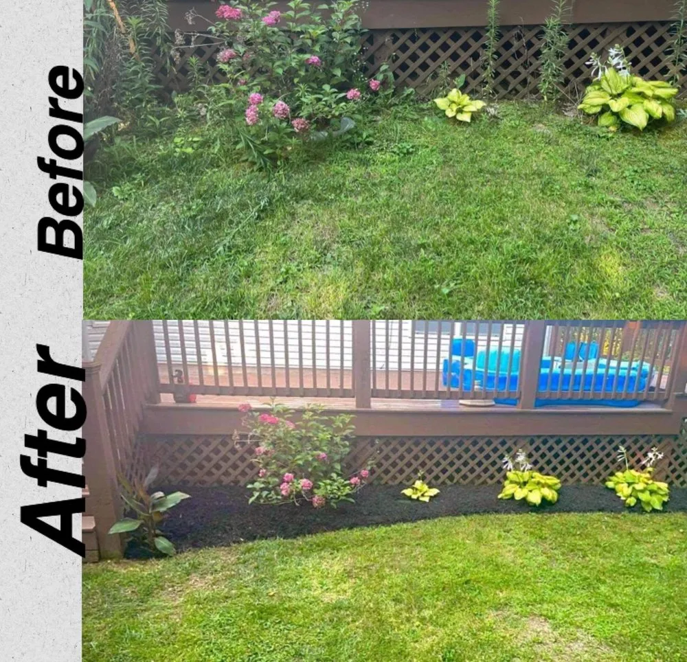 Professional landscaping services for homes in Mount Carmel, TN by Tri Cities Yard & Deck Solutions