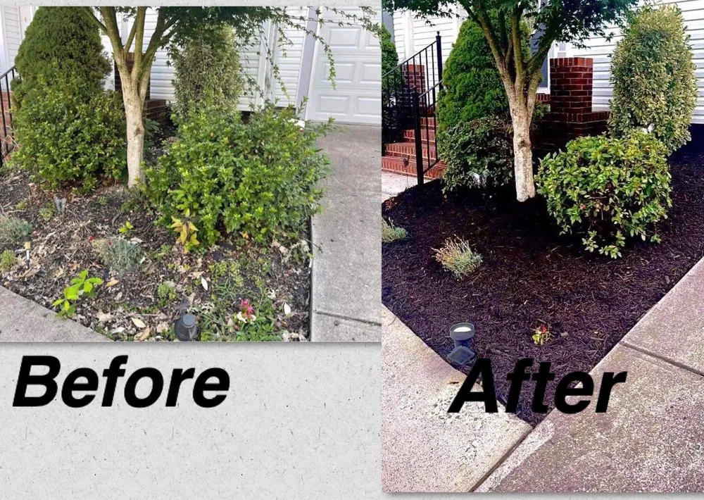 Professional landscaping services in Mount Carmel, TN - Tri Cities Yard & Deck Solutions