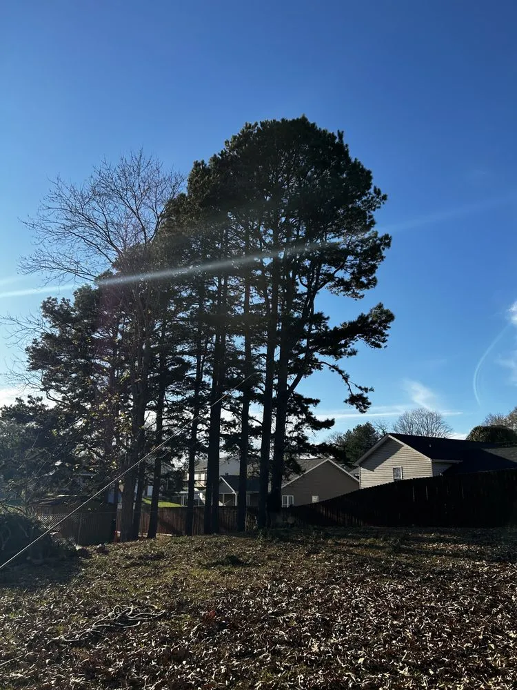 Professional landscaping services experts serving Mount Carmel, TN - Tri Cities Yard & Deck Solutions