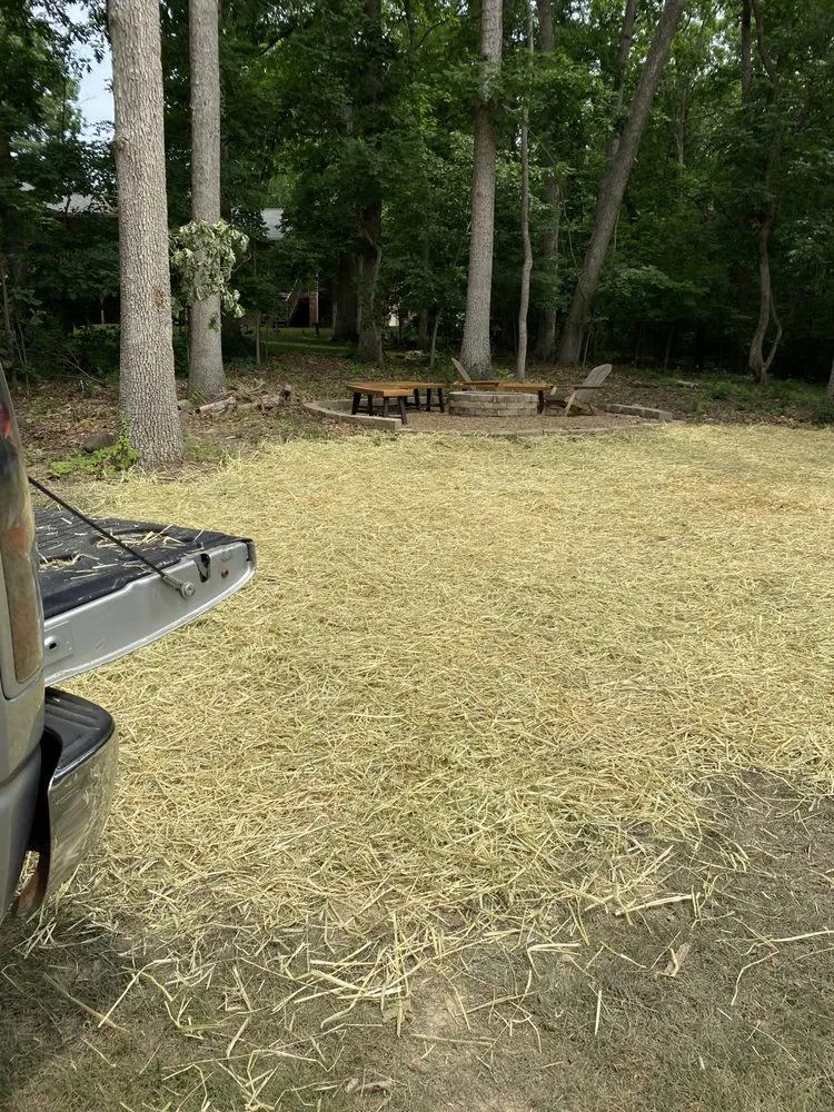 Top-rated landscaping services with custom design across Mount Carmel, TN - Tri Cities Yard & Deck Solutions