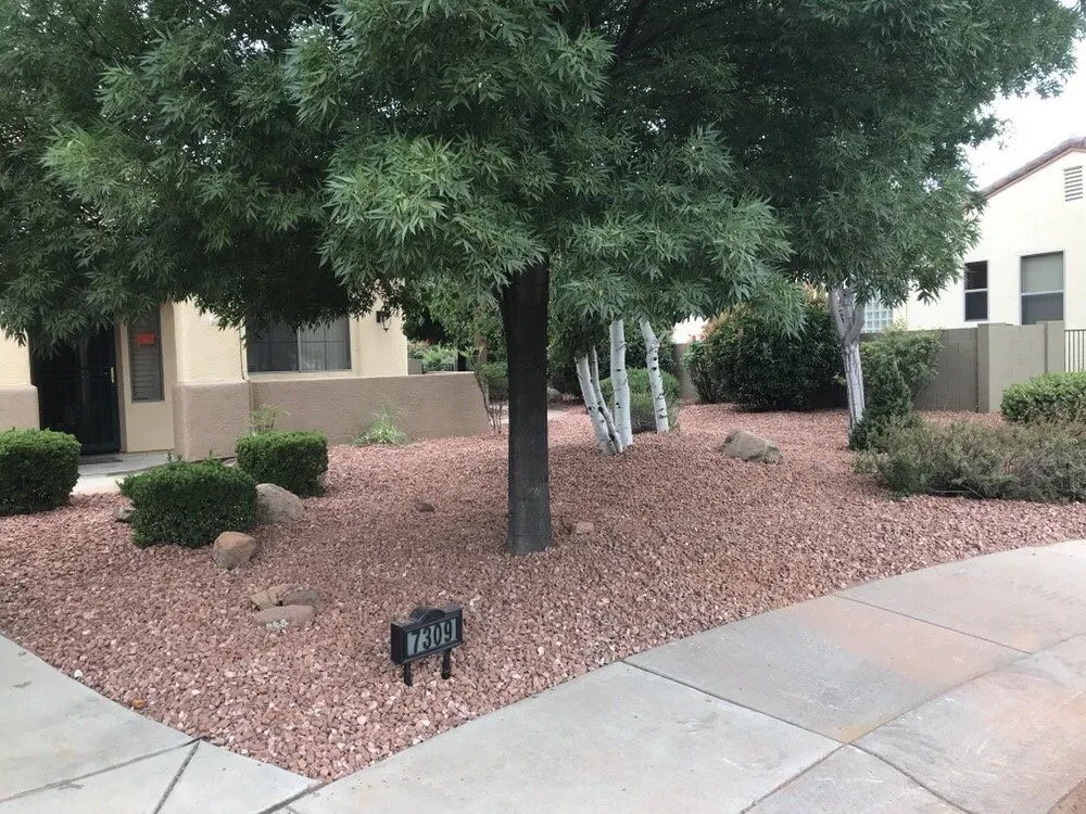 Expert landscaping services for outdoor upgrades in Prescott Valley, AZ by Tri-City Earthworks & Labor